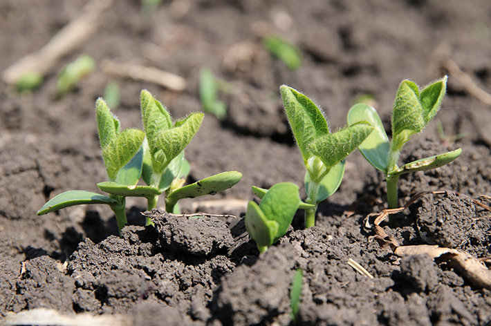 Land Pro LLC April 2024 Newsletter