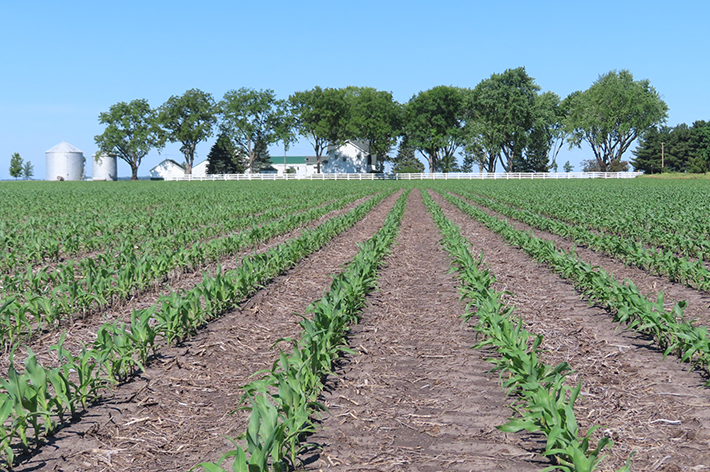 Land Pro LLC June 2024 Newsletter