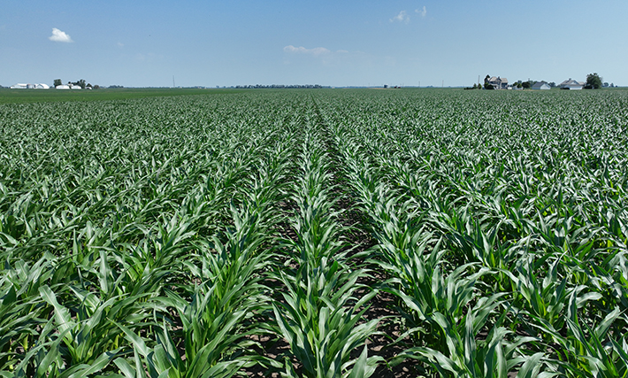 Land Pro LLC July 2024 Newsletter