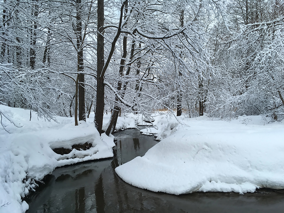Land Pro LLC January 2025 Newsletter