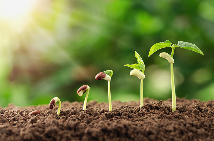 Land Pro LLC March 2025 Newsletter