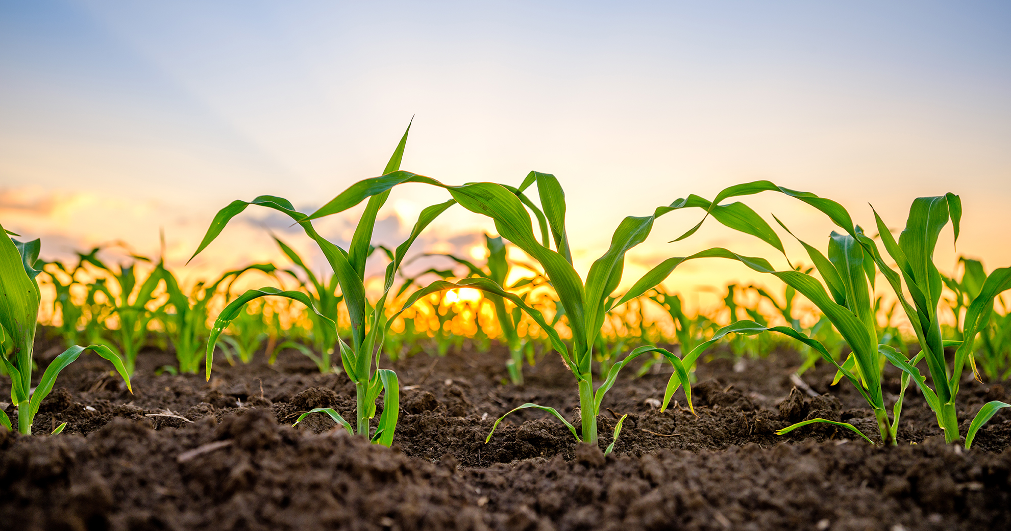 Land Pro LLC April 2025 Newsletter